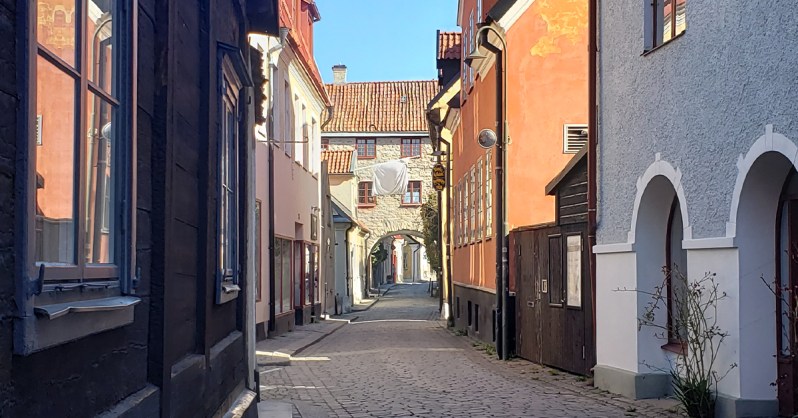 Affective-Neuroscience-Lab-Exploring-New-Academic-Opportunities-with-Nhi-and-Jessica-Spring-2021-Gotland_Visby