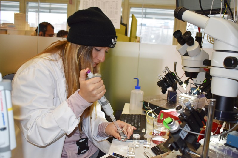 SP19_SciLifeLab_Rebecca Howard's Lab_DIS Stockholm_Calvin Chan10.JPG