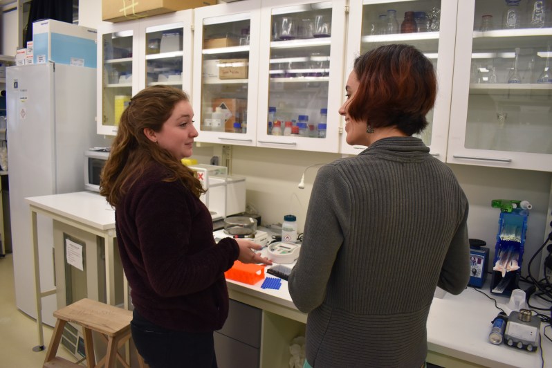 SP19_SciLifeLab_Rebecca Howard's Lab_DIS Stockholm_Calvin Chan11.JPG