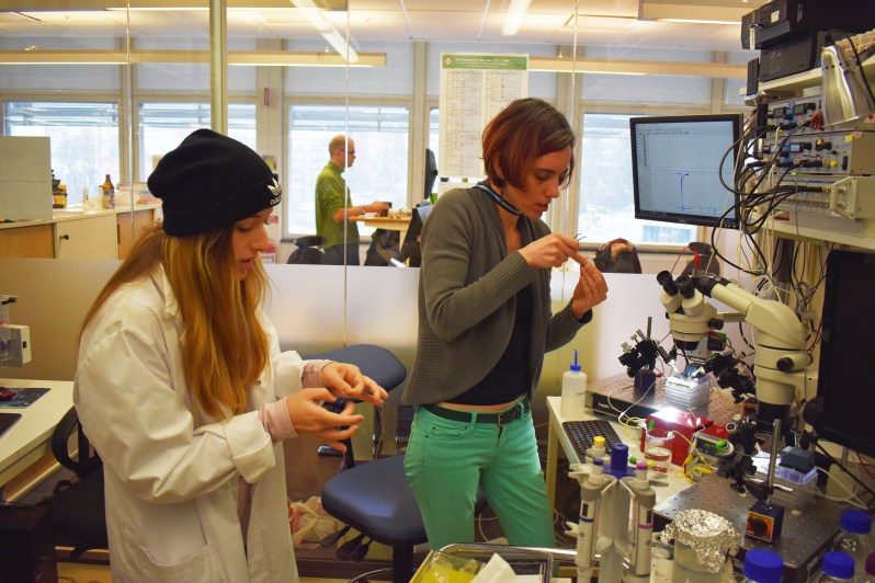 SP19_SciLifeLab_Rebecca Howard's Lab_DIS Stockholm_Calvin Chan1.JPG