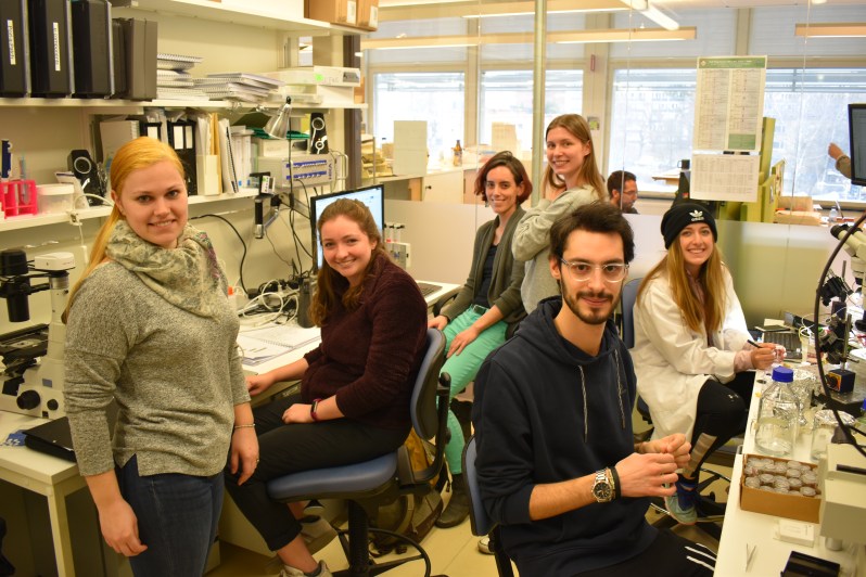 SP19_SciLifeLab_Rebecca Howard's Lab_DIS Stockholm_Calvin Chan40.JPG